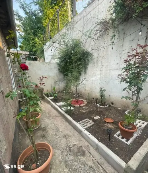 ქირავდება, კერძო სახლი