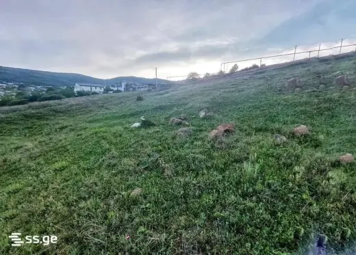იყიდება, მიწა