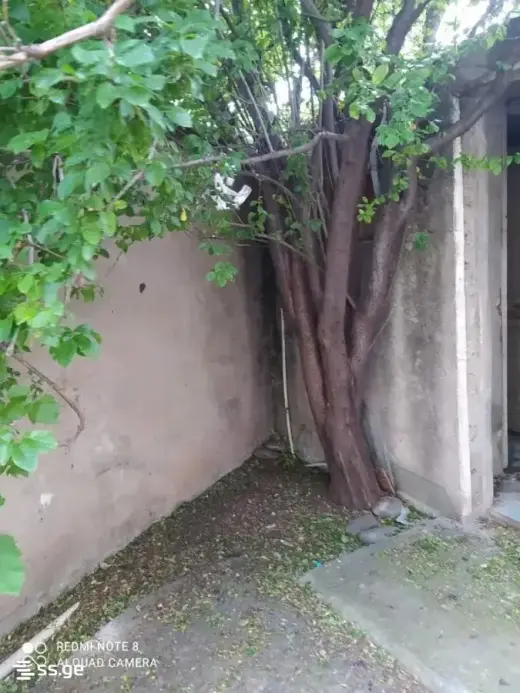 იყიდება, კერძო სახლი