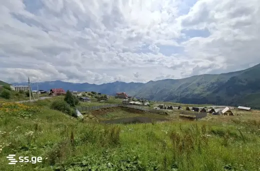 იყიდება, მიწა