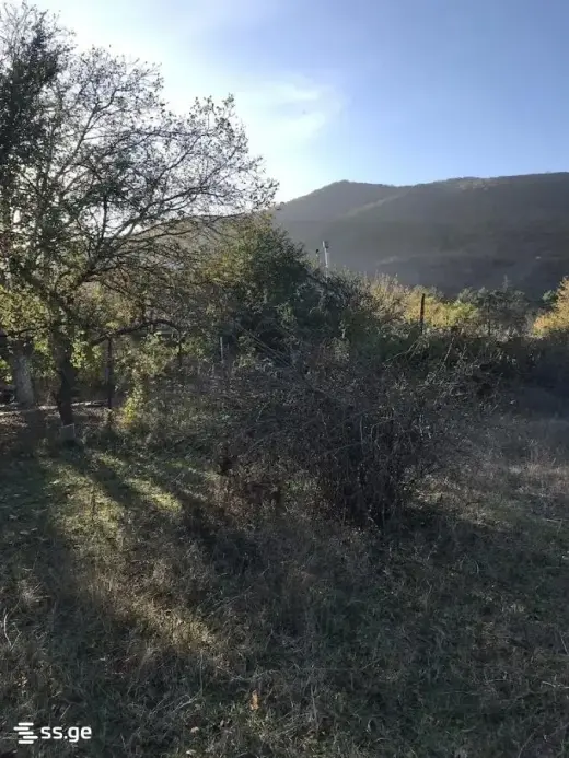 იყიდება, მიწა