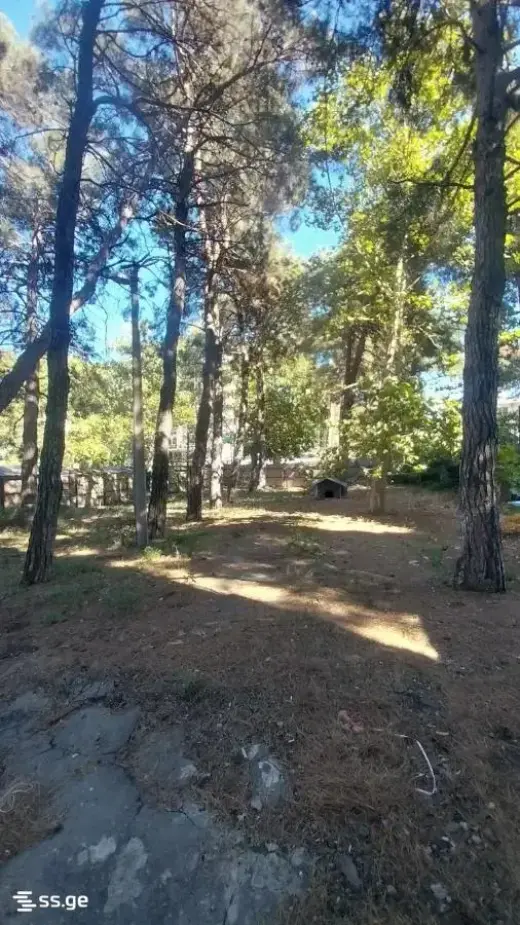 იყიდება, ბინა