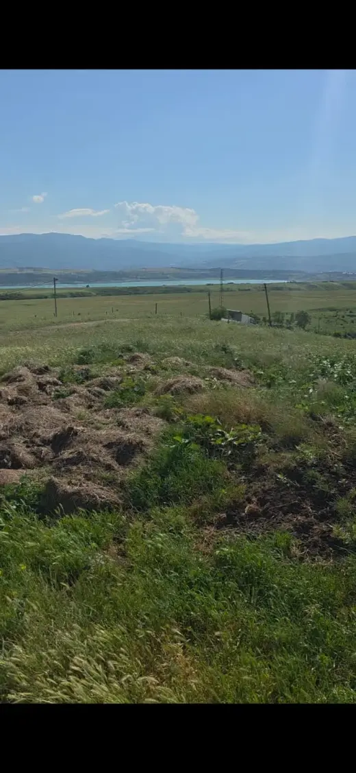 იყიდება, მიწა