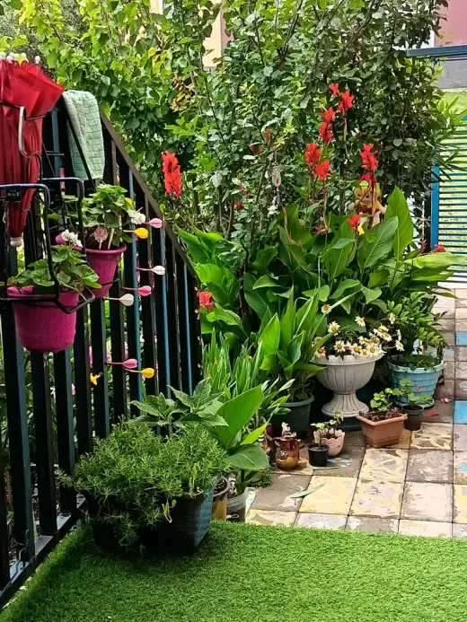 იყიდება, ბინა