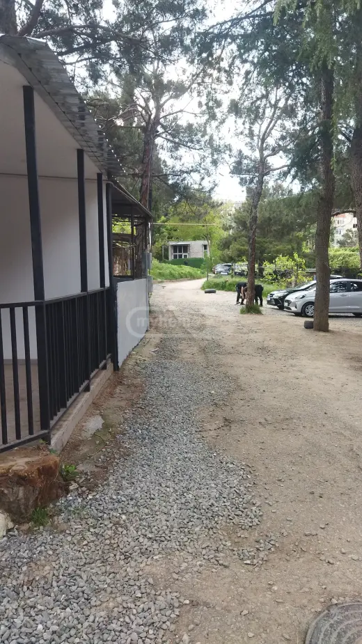 იყიდება, ბინა