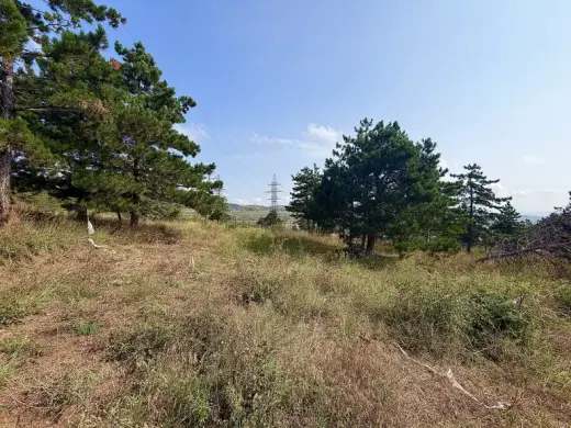 იყიდება, მიწა