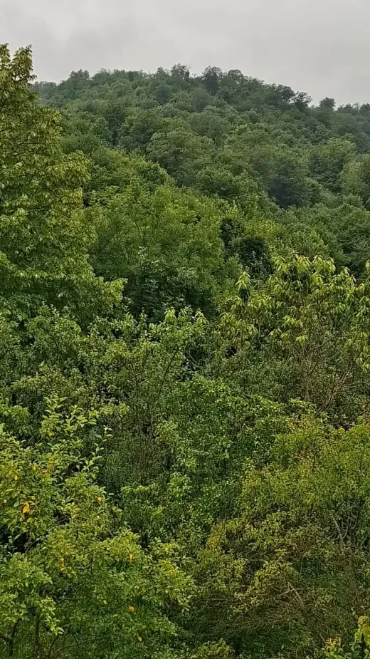 For Sale, Land