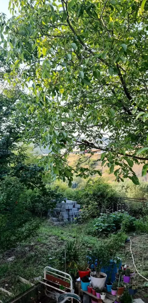 იყიდება, კერძო სახლი