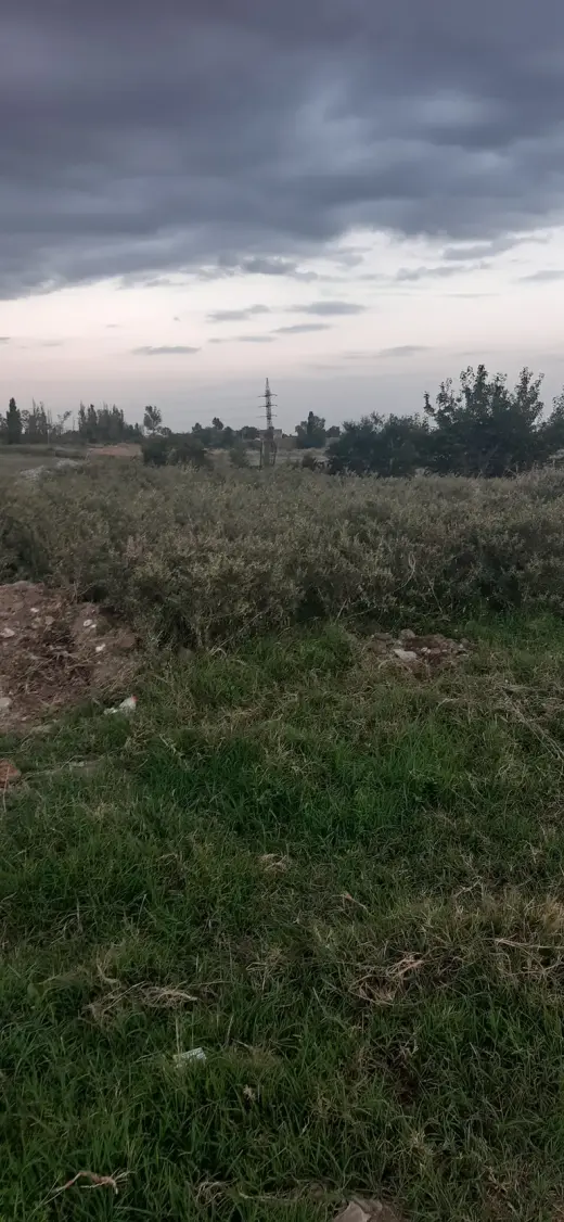 იყიდება, მიწა