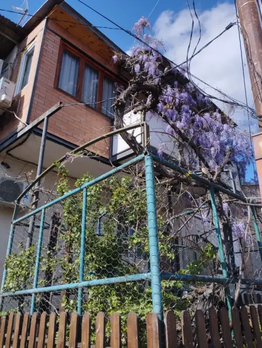 იყიდება, ბინა