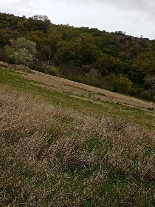 For Sale, Land