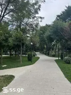 ქირავდება, ბინა