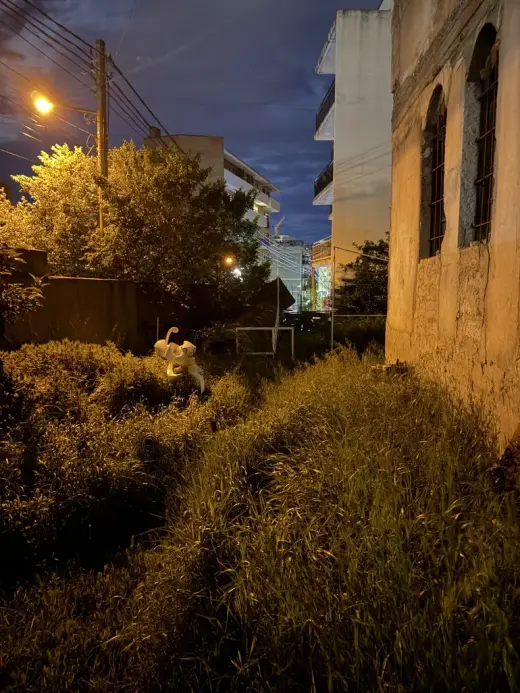 იყიდება, კერძო სახლი