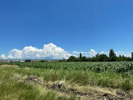 იყიდება, მიწა