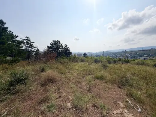 იყიდება, მიწა