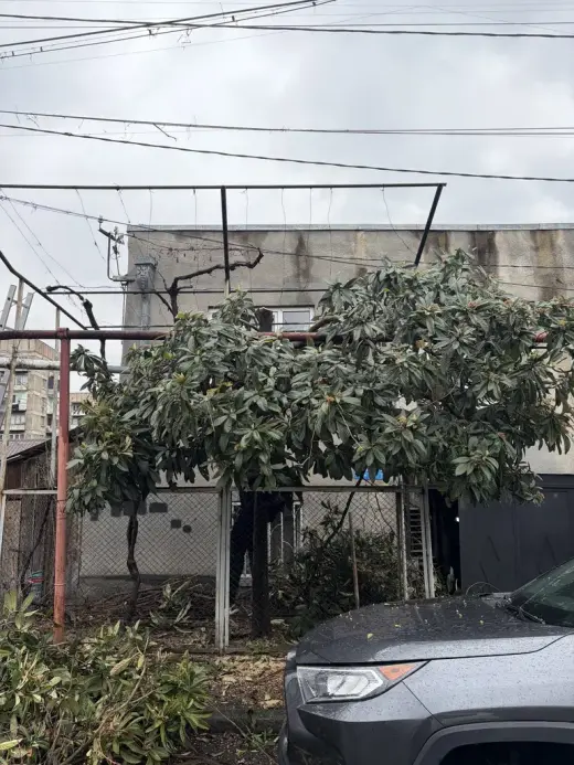 იყიდება, კერძო სახლი