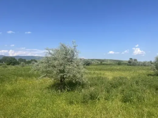 იყიდება, მიწა