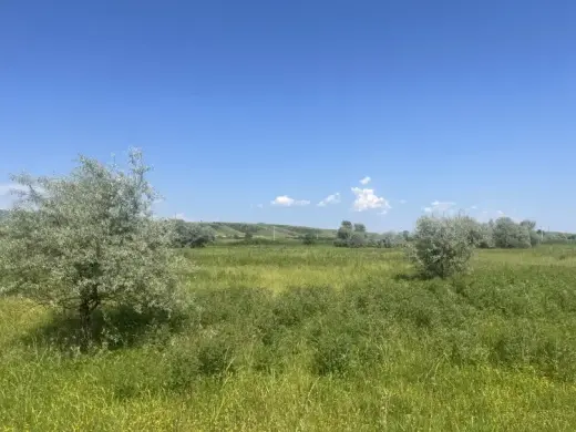იყიდება, მიწა