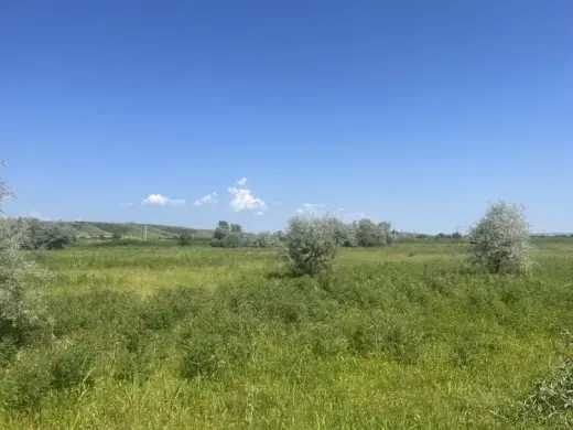 იყიდება, მიწა