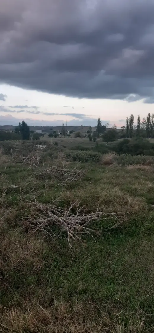 იყიდება, მიწა